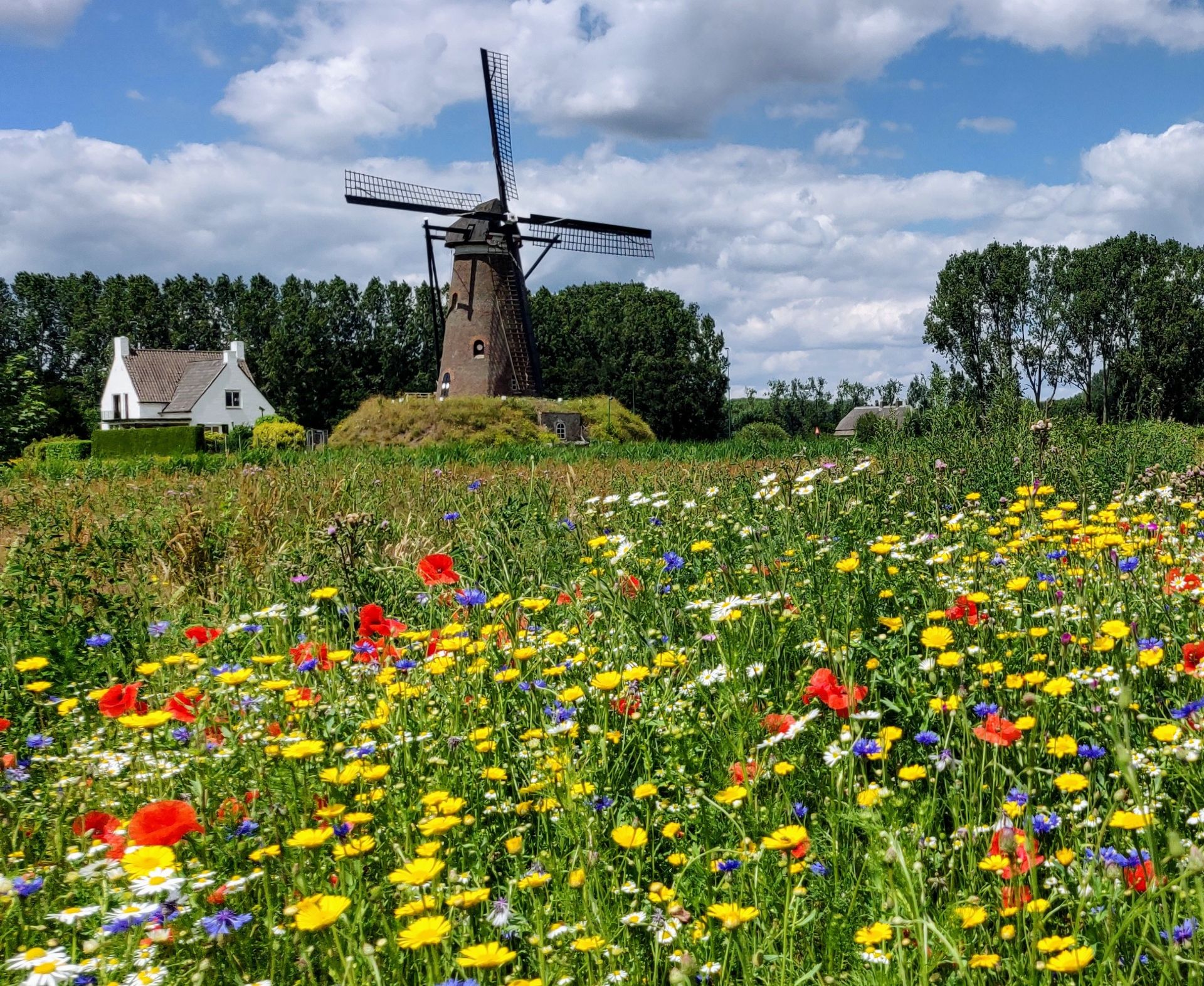 Klimaatstresstest Gemeente Nuenen